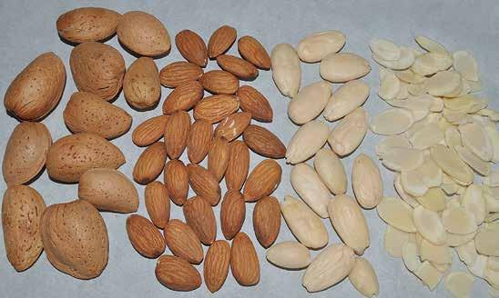Almonds, the