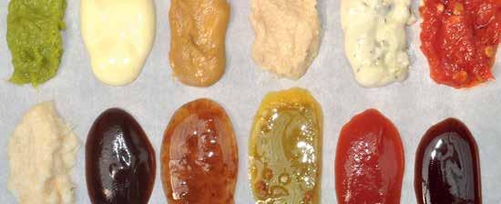 Examples of sauces.