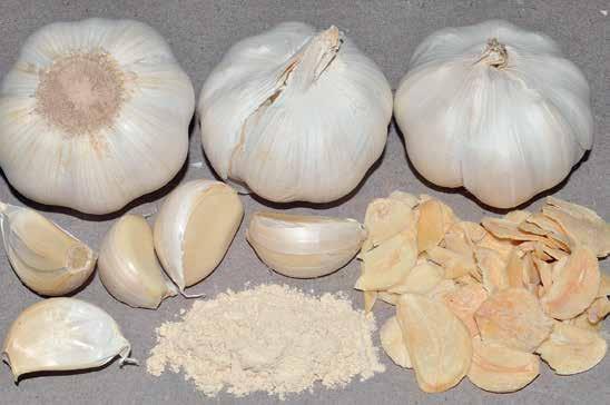 Garlic bulbs,