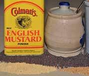 Mustard powder and