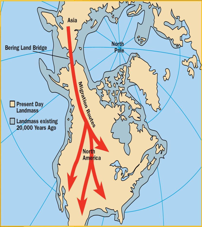 Early Migration Migration Movement of people from one place to another. The first people migrated to North America between 30,000 BC to 10,000 BC.
