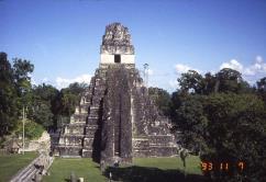 20 story building The largest Mayan City was Tikal (Mayan Capital) The temples on top of the