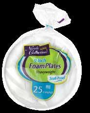 00972 6 Foam Plate