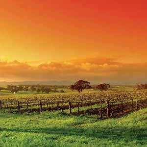 WINE OVERVIEW AUSTRALIA Content contributed by Jim Warren, Imperial Beverage Closely review the syllabus for this wine level to determine just what items require your attention in each of the
