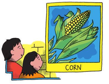 Chapter Three The Corn Mystery Where do you get the corn? asked Belinda, noticing the picture on the wall. Good question. Did you know that corn doesn t grow wild?