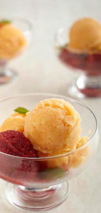 Table of Contents 4 FRESH FRUIT SORBET MAKES 4-6 SERVINGS Have ready a medium bowl filled with water and ice cubes.