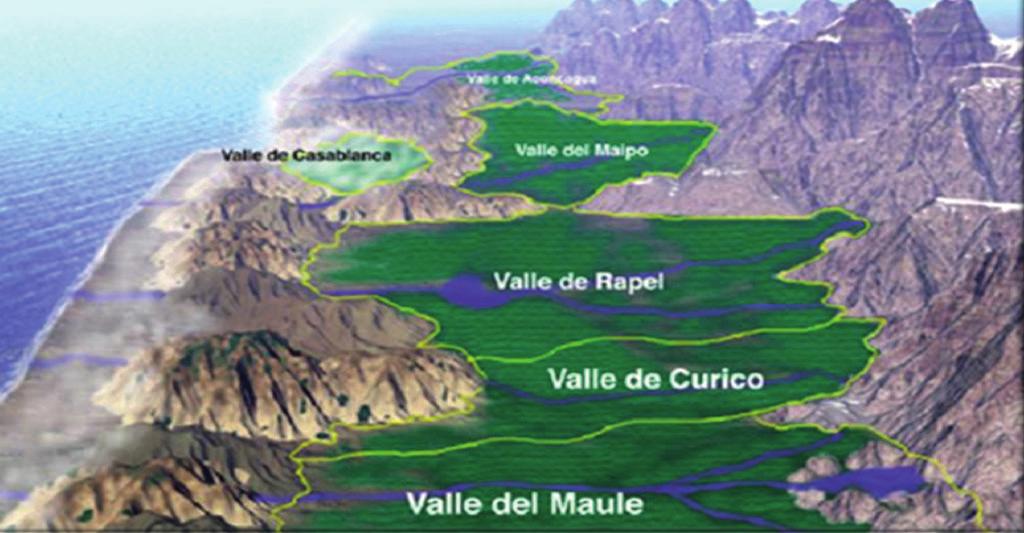 Maule Valley Chile s wine producing districts are, in essence, a series of valleys from rivers flowing down from the Andes to the Pacific.