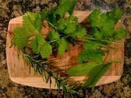 Exercise in food preservation: drying herbs for cooking In this exercise, we will practice the food preservation method of drying to dry some herbs that we can use at home for cooking!