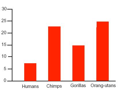 Compared to all of the other Great Apes, humans have