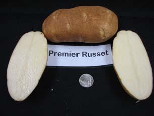 In addition, Defender potatoes can be sold fresh in the produce section of supermarkets.