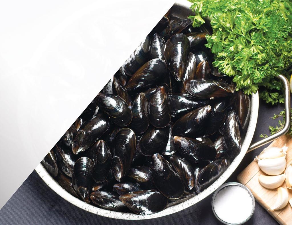 Ocean Fresh Mussel Growers Ltd. Mussels, Blue Live Contact Wayne Fudge Tel 709.628.7406 Email wayne.fudge@nf.