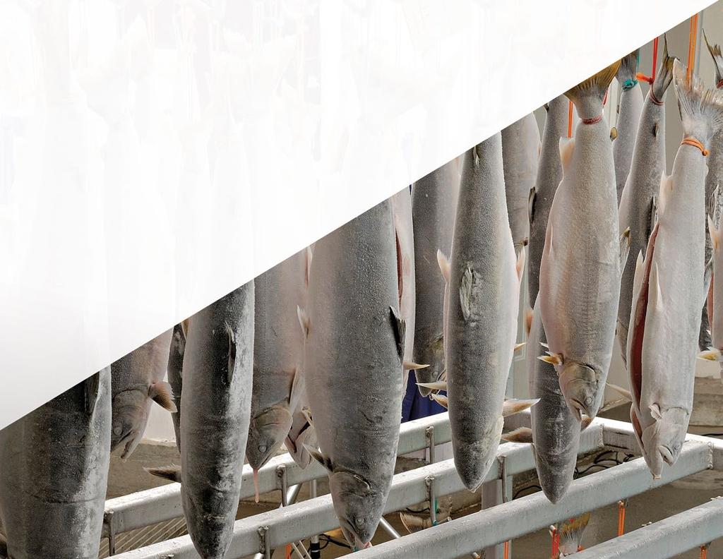 Torngat Fish Producers Co-operative Society Ltd.