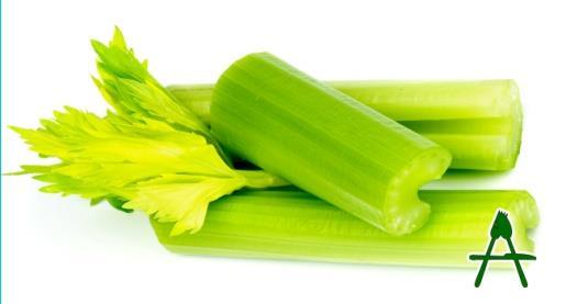 The 14 Allergens CELERY is widely used in foods, and is served as simple sticks and the celeriac