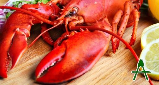 CRUSTACEAN allergy includes crabs, crayfish, lobster, prawns and shrimps, it is rare in young