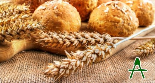 GLUTEN is a cereal protein found in wheat, barley and rye, this allergy occurs in children as well as adults but