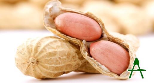 The 14 Allergens PEANUT is related to foods such as peas, beans and lentils (Legumes).