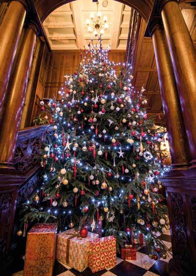 DECEMBER Winchester Christmas Market Monday 20th November Friday 22nd December 2017 CHRISTMAS CELEBRATIONS AT TYLNEY HALL FESTIVE DINING Saturday 1st Sunday 23rd December Christmas Fayre Luncheon and