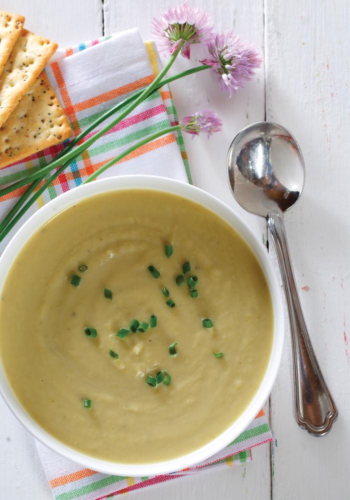 soups + sides CREAM OF CELERY & RED LENTIL SOUP 4 SERVINGS 0 MINUTES PREP TIME 30 MINUTES TOTAL TIME 2 Tbsp (30 ml) canola oil onion, diced 4 cups ( L) chopped celery 2 garlic cloves, minced cup (250