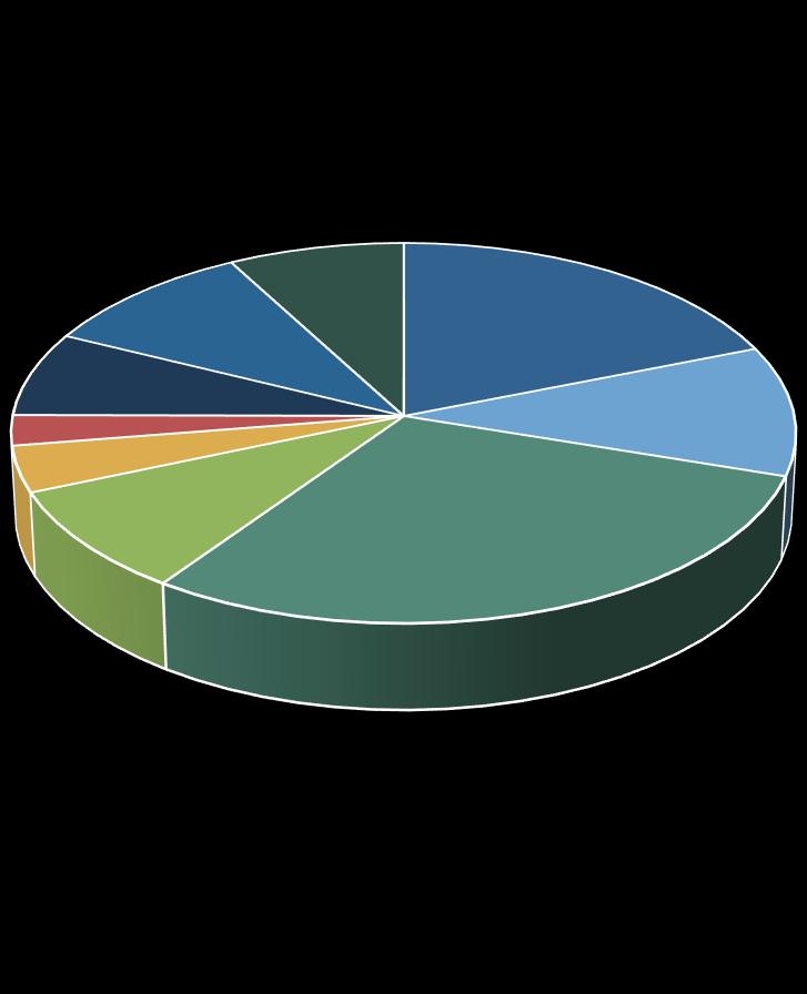TOP 300 - CUISINES [START AT 12 O CLOCK; GO CLOCKWISE; CUISINES ARE IN ALPHA ORDER.] THE BURGER SEGMENT ACCOUNTS FOR ALMOST 30% OF SALES. BAKERY CAFE AND COFFEE SEGMENT CLIMBS TO 3 RD LARGEST.
