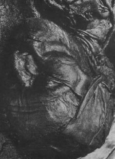 Now work as a historian and investigate the, Mystery of Tollund Man On the 8 th May 1950 on Tollund Fen in Bjaeldskor Dale in Denmark. Two men were cutting peat to burn.