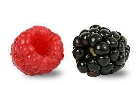 Raspberry Blackberry fleshy fruit