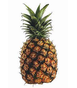 Pineapple fleshy fruit (multiple) [many