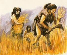 Neolithic Revolution About 10,000 years ago (8,000 BCE) People learned how to