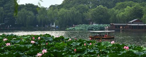 Home Available Shells Auctions Shell Topics December 11, 2017 NEWSLETTER: SHANGHAI 2017 NR 2 In the afternoon, enjoying leisure time on the West Lake in Hangzhou.