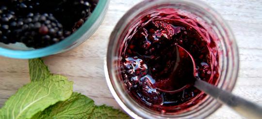 Blackberry Sauce This easy and delicious sauce can go on basically anything. Using fresh or frozen blackberries, this sauce instantly adds a luscious component to more than just desserts.