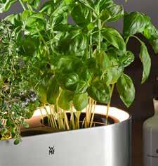 The intelligent watering system keeps herbs fresh for a long time no need to water your plants for a few days.