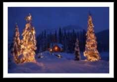 Your Christmas Package Includes: One night accommodation (the