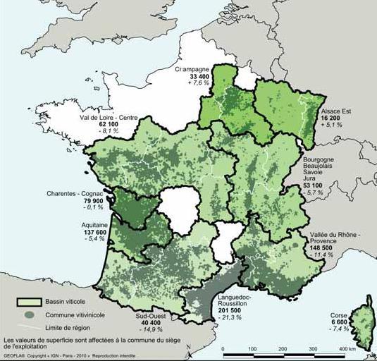 Wine Farms in France: Evolution of the vine