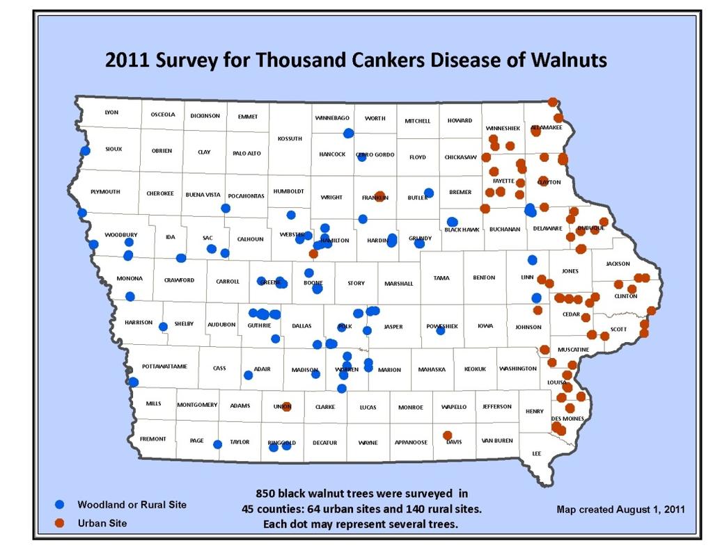 TCD Early Detection in Iowa: 2011 Visual Survey: Tivon Feely, IA DNR 204 sites: