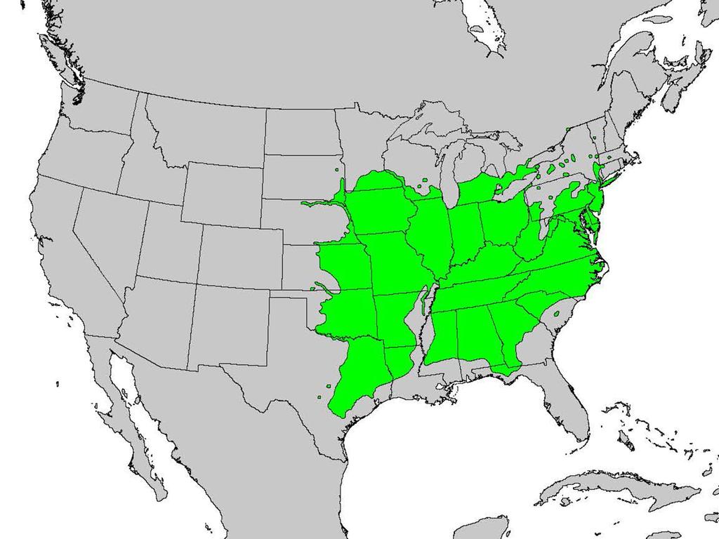 Native range of Juglans nigra, black walnut Map courtesy of the United