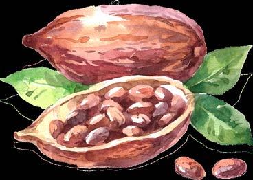 develop cacao plantations; Suitable, indicates that