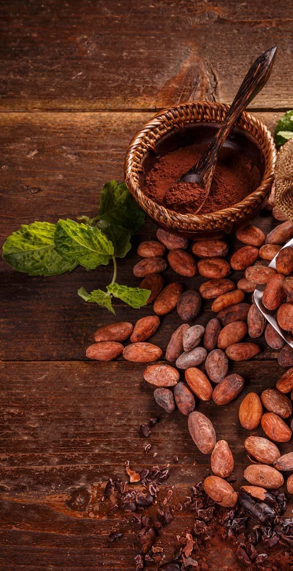 Many cacao plantations in the Kutai Ecosystem, are cultivated in Teluk Pandan Sub-district, South Sangatta Sub-district, Muara Ancalong Sub-District, Rantau Pulung Sub-District, Muara Bengkal