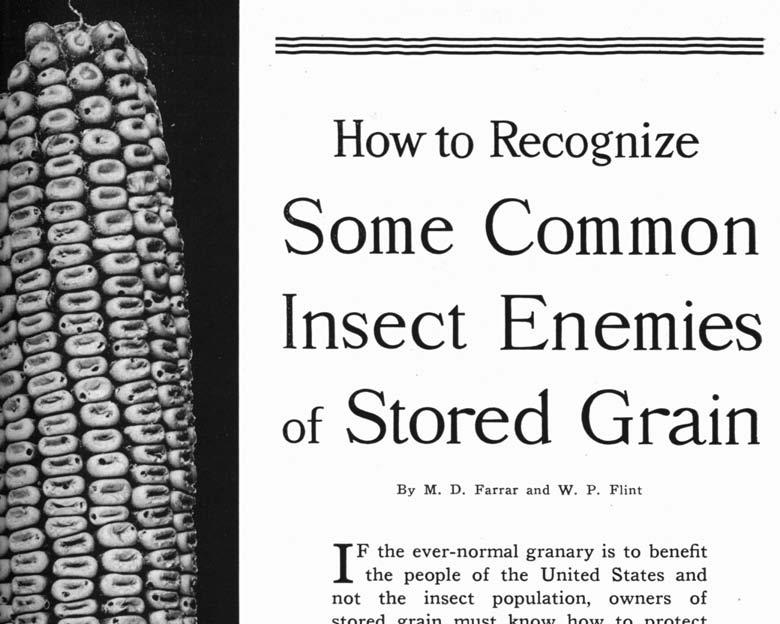How to Recognize Some Common Insect Enemies of Stored Grain I By M. D. Farrar and W. P.