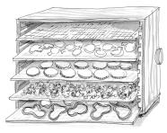 Drying Methods Foods can be dried in an electric dehydrator, in the sun, in a solar dryer, or in a regular oven.