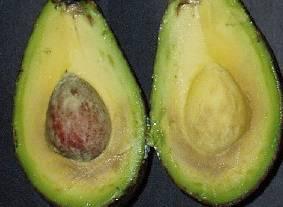SM technology: Avocado Used after harvest in