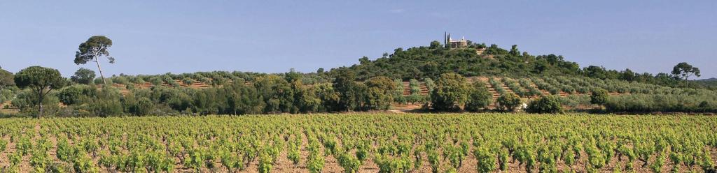 A Château steeped in history Provence claims to have the oldest of France s vineyards.