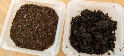 Problems with Compost Teas High variability in products and responses Some diseases are worsened Poor understanding of mechanisms and responses Quality Control Factors you can control Initial compost