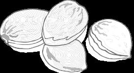 Medium to large nut, somewhat flattened. Tree growth is large, upright and spreading. Almonds require another almond variety for pollination.
