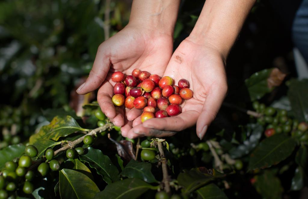 When you choose Fairtrade, you become part of the solution for farmers and workers and feed