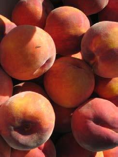 County Distribution of WA Organic Tree Fruit 212 7, 6, Certified Acres 5, 4, 3,