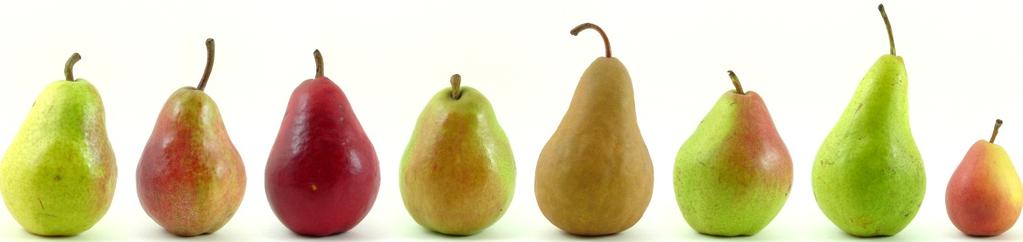 Organic Pear Variety Trend Washington State 1 8 D'Anjou Bartlett Bosc Red types Other or NS