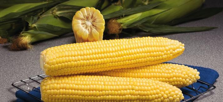 and recovery Supersweet flavor and excellent kernel color for strong consumer appeal Widely adapted for a variety of growing conditions Finishes strong late in the season