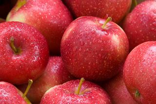 Only premium quality fruit can be sold as SweeTango Parents are Honeycrisp and Zestar!