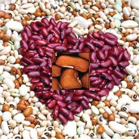6.Create awareness that dry pulses are good for health and heart.
