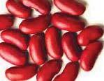 Red kidney bean Chickpea Mung bean Urd bean Importance of Pulses: 1. poor man s meat 2. rich man s health food. 3. nutritious haulms for livestock 4.