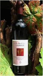 bodied wine with intense red colour and aromas of ripe berries.